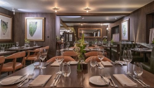 Hurley House - Upscale restaurant interior with dim lighting. Tables are set with wine glasses, white napkins, and silverware. Walls feature leafy artwork, and greenery decorates tables. Warm wood tones and cushioned chairs create an inviting atmosphere.