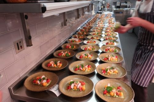 Hurley House - A chef arranges plates of colorful gourmet salads on a long kitchen counter. Each plate features a mix of vegetables, greens, and edible flowers, prepared for a large event or restaurant service.