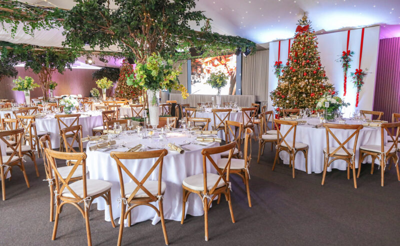 Hurley House - A festive banquet hall decorated with round tables covered in white cloths, wooden chairs, lush green plants, and a large decorated Christmas tree with red ribbons and ornaments, creating an elegant holiday atmosphere.