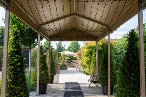 Hurley House - A covered walkway with string lights overhead leads to a sunny patio area with tables, chairs, and lush green plants on both sides. Tall potted bushes line the walkway, and trees and shrubs surround the patio.