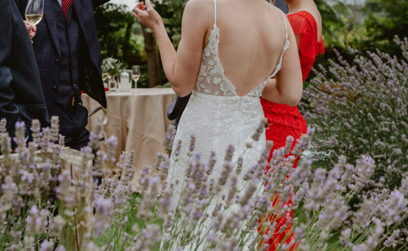 Hurley House - A group of people at an outdoor gathering, surrounded by lavender flowers. A woman in a white lace dress stands with her back to the camera, speaking with a man in a blue suit and a woman in a red dress. Trees and a cloudy sky are in the background.